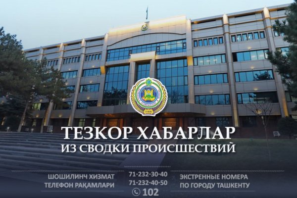 Через какой браузер можно зайти на кракен