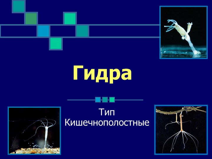 Ссылка официальный сайт кракен
