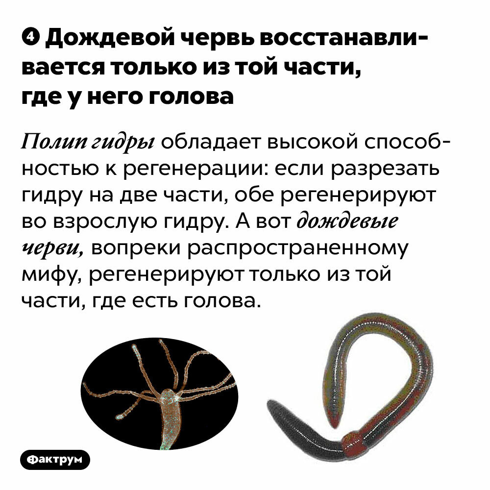 Кракен даркнет рекламы