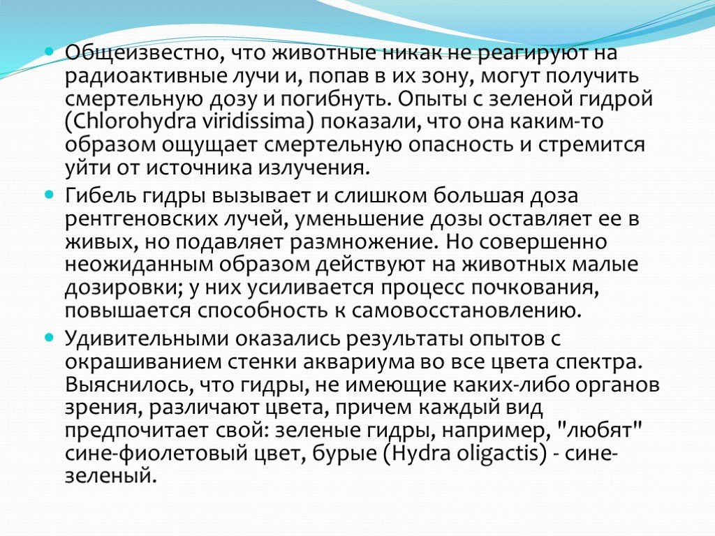 Что такое кракен шоп